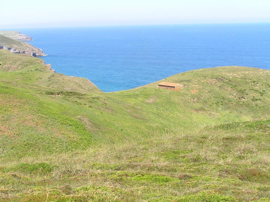 Anades