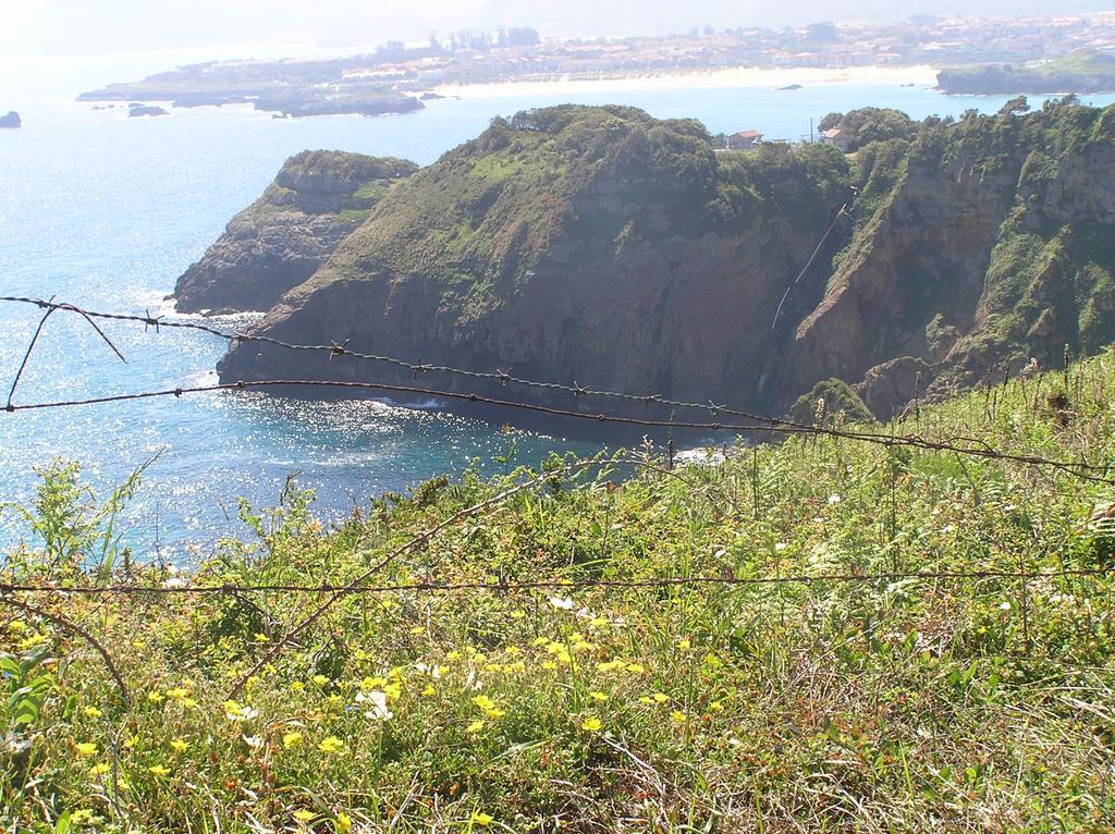 Anades Isla Plana