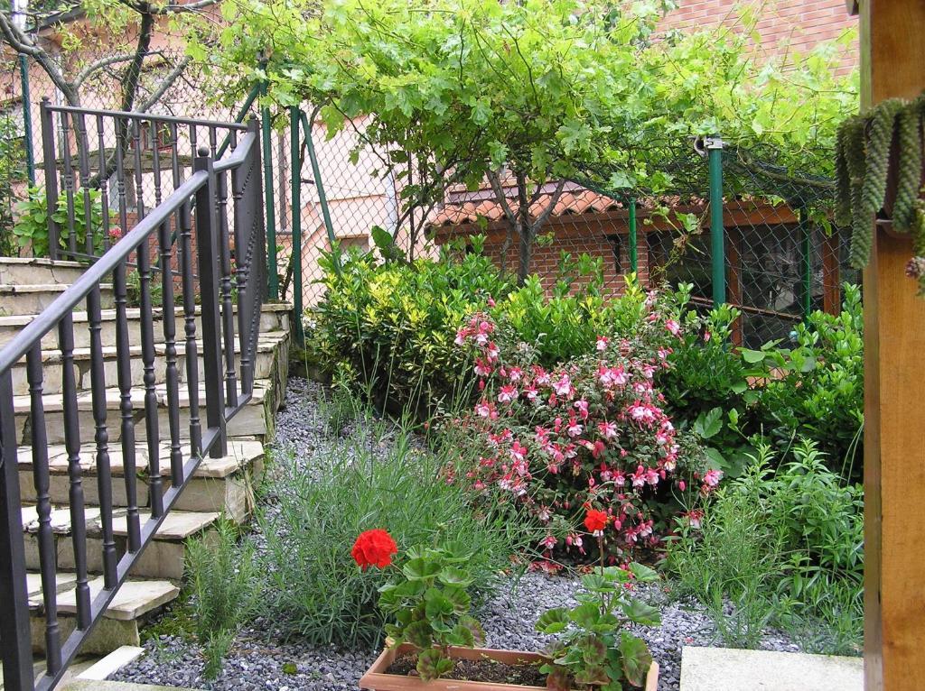 Apartment Anades *